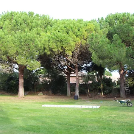 D'agde: A Vivre En Famille Et Entre Amis * Le Grau-dʼAgde