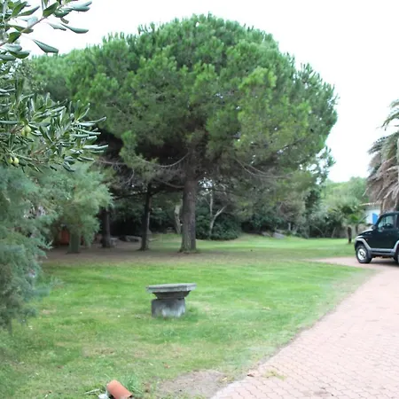 D'agde: A Vivre En Famille Et Entre Amis *