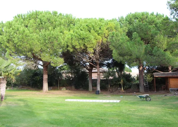D'agde: A Vivre En Famille Et Entre Amis * Le Grau-dʼAgde