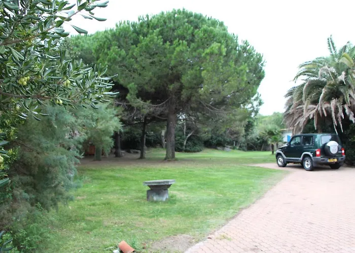 D'agde: A Vivre En Famille Et Entre Amis *